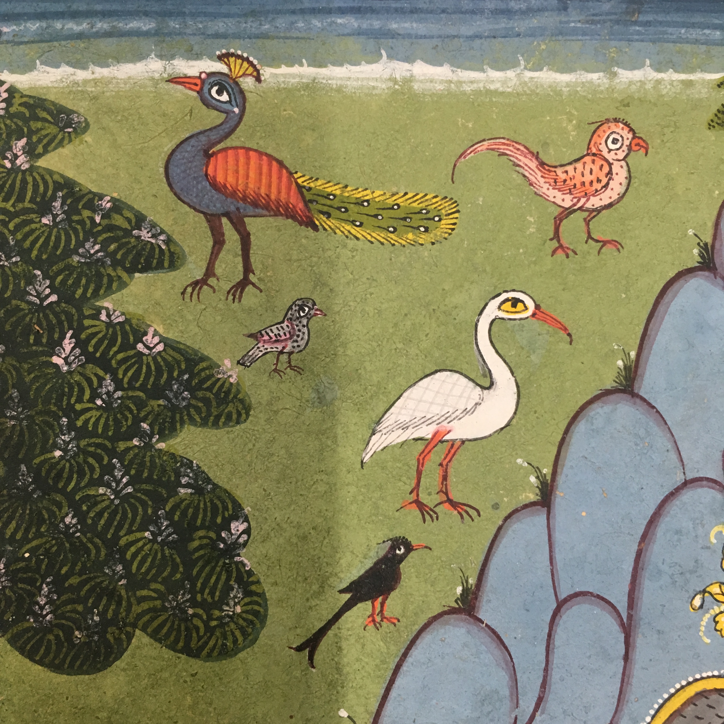 close up of birds in a garden