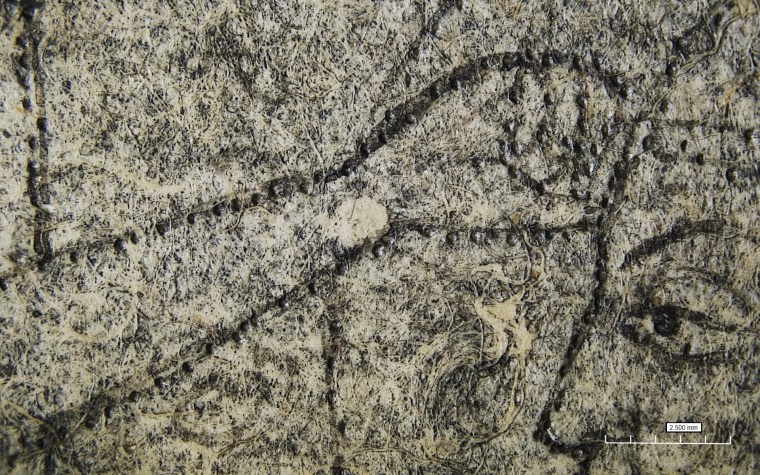 Fig.2 Detail of the perforations along the priest's hand and Rama's profile. HIROX- RH 2000, 20x magnification.