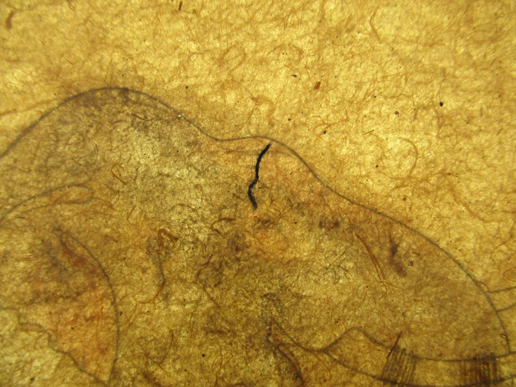 A Breakaway Elephant, RV-3025-66, Volkenkunde museum. 